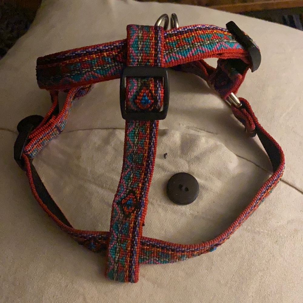 Lupine Small Dog harness